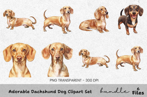 Adorable Dachshund Dog Clipart Bundle
