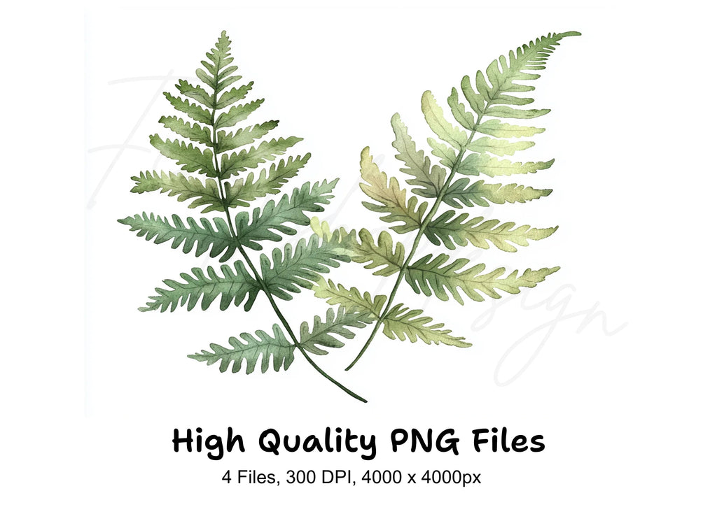 Green Fern Foliage Clipart Bundle