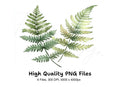 Green Fern Foliage Clipart Bundle