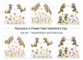 Raccoons and Wildflowers Clipart Bundle