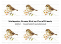 Brown Bird with Flowers Clipart Bundle