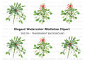Festive Mistletoe Clipart Bundle