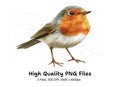 Cute European Robin Bird Illustrations Clipart Bundle