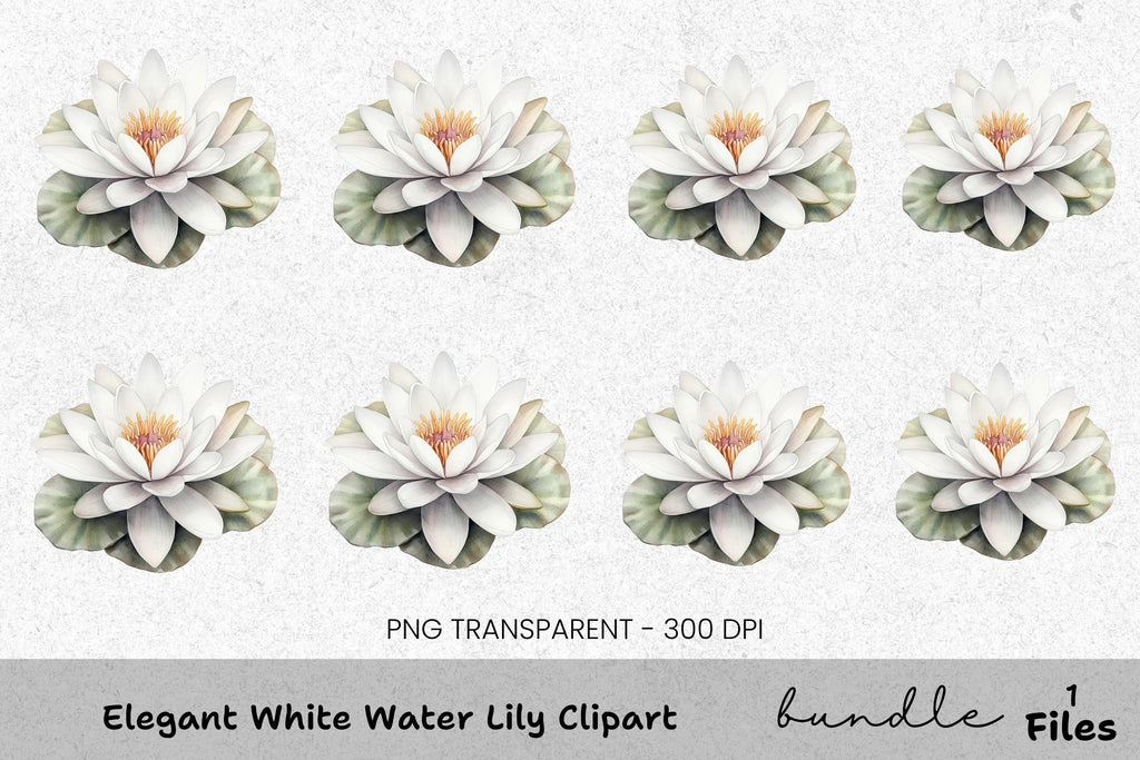 Elegant White Water Lily Clipart Bundle