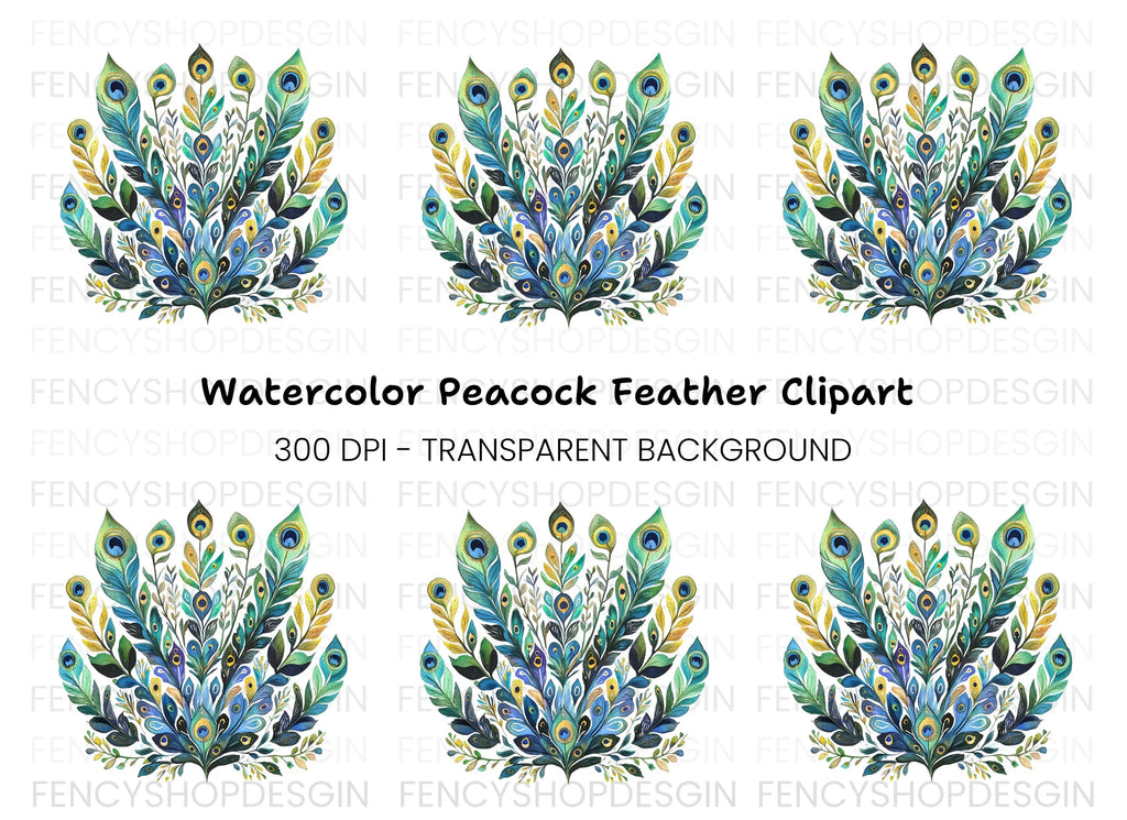 Peacock Feather Arrangement Clipart Bundle