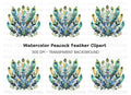 Peacock Feather Arrangement Clipart Bundle