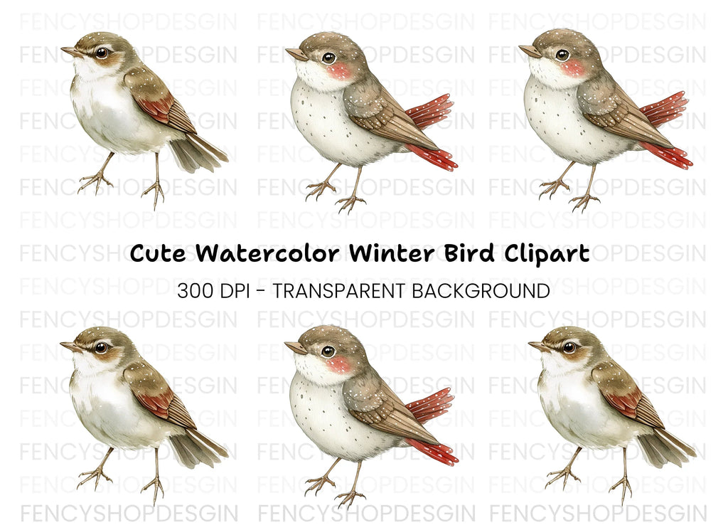 Charming Spotted Bird Clipart Bundle