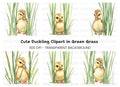 Adorable Ducklings in Green Grass Clipart Bundle