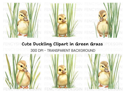 Adorable Ducklings in Green Grass Clipart Bundle