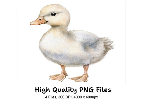Adorable Duckling Clipart Bundle