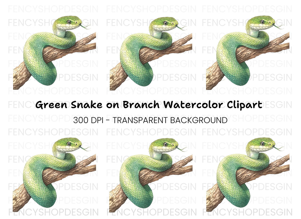 Green Snake on Branch Clipart Bundle
