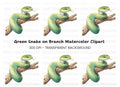 Green Snake on Branch Clipart Bundle
