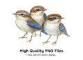 Cute Birds Clipart Bundle