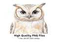 Owl Clipart Bundle