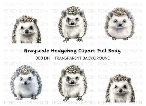 Adorable Hedgehog Clipart Bundle