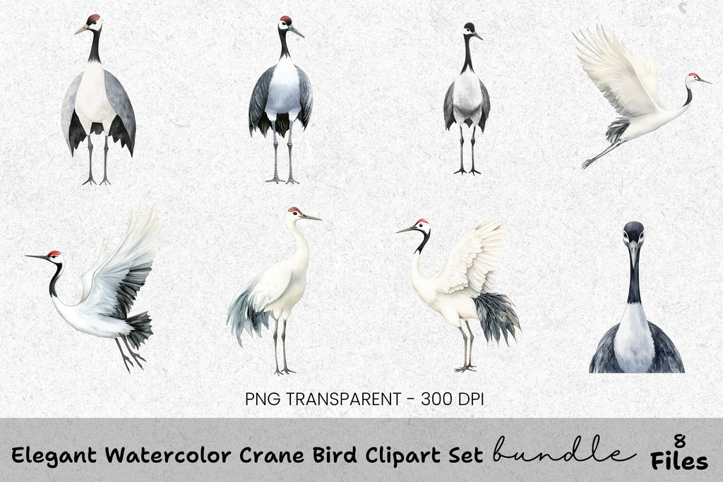 Elegant Crane Bird Clipart Bundle
