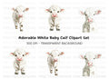 Adorable White Baby Calf Clipart Bundle