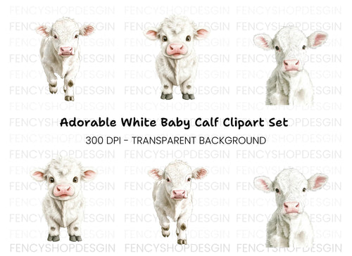 Adorable White Baby Calf Clipart Bundle