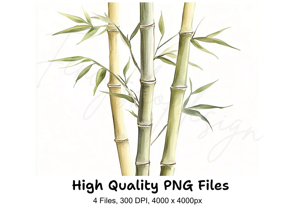 Bamboo Stalks Clipart Bundle