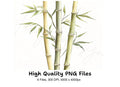 Bamboo Stalks Clipart Bundle