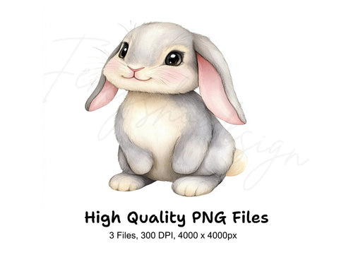 Adorable Baby Bunny Rabbit Clipart Bundle