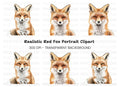 Adorable Fox Portraits Clipart Bundle