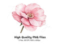 Blush Pink Flower Clipart Bundle