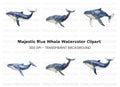 Blue Whale Clipart Bundle