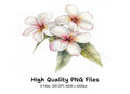 Elegant Plumeria Flower Clipart Bundle