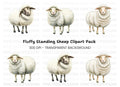 Cute White Sheep Clipart Bundle