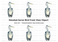 Front Facing Heron Clipart Bundle