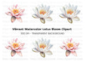 Elegant Water Lily Clipart Bundle