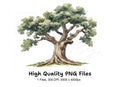 Sturdy Green Oak Tree Clipart Bundle