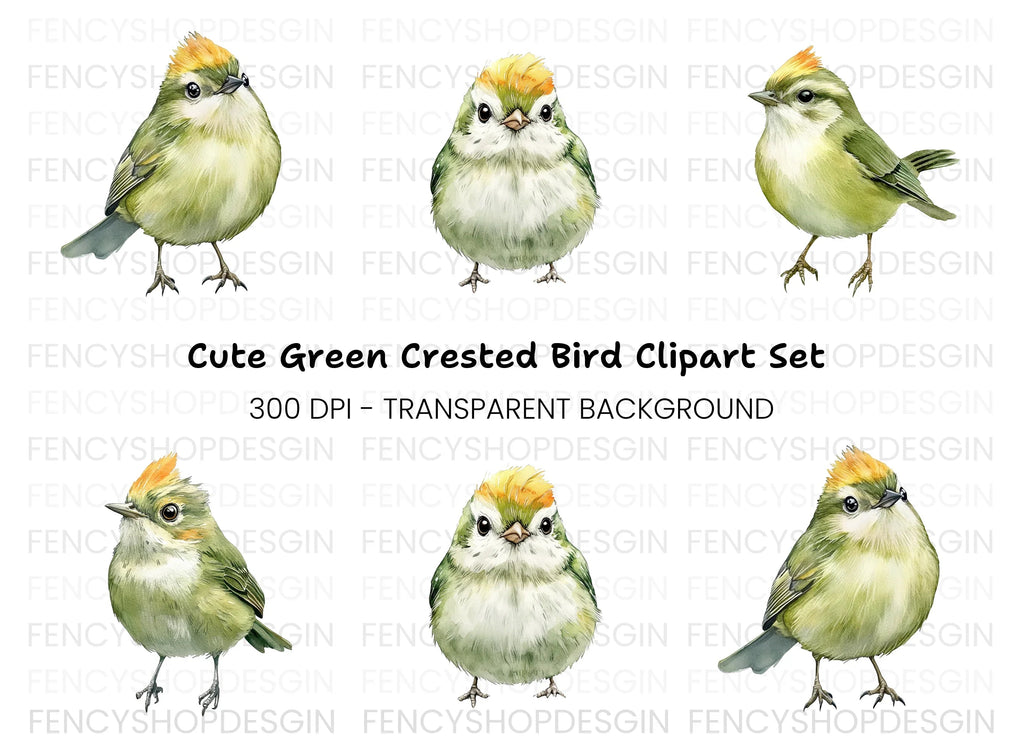Cute Green Birds Clipart Bundle