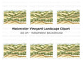 Vineyard Landscape Clipart Bundle
