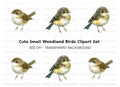 Cute Small Birds Clipart Bundle