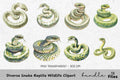 Diverse Snake Reptile Wildlife Clipart Bundle