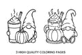 Autumn Gnomes with Pumpkin Spice Drinks Coloring Books
