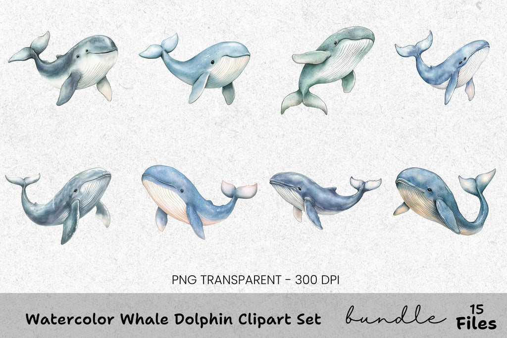 Whale and Dolphin Clipart Bundle