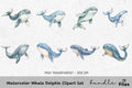 Whale and Dolphin Clipart Bundle