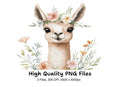 Cute Llama with Floral Accents Clipart Bundle