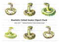 Green Snake Illustrations Clipart Bundle