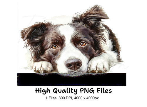Adorable Border Collie Dog Clipart Bundle