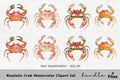 Realistic Crab Clipart Bundle