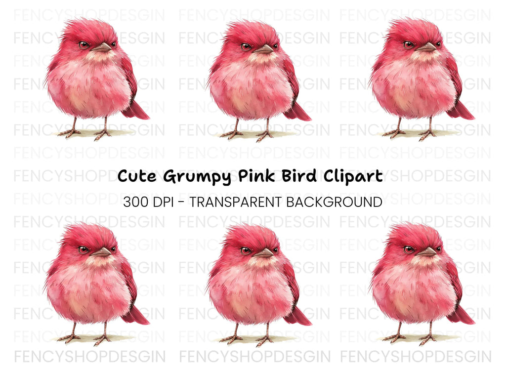 Cute Pink Bird Illustration Clipart Bundle