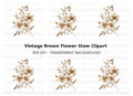 Elegant Sepia Floral Clipart Bundle