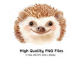 Cute Hedgehog Clipart Bundle