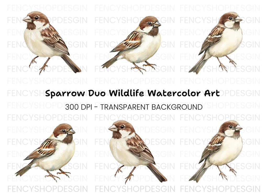 Sparrow Birds Clipart Bundle