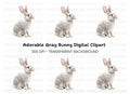 Adorable Grey Rabbit Clipart Bundle