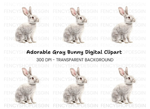 Adorable Grey Rabbit Clipart Bundle
